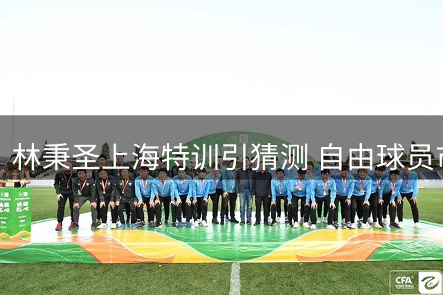 林秉圣上海特训引猜测 自由球员市场动向成焦点